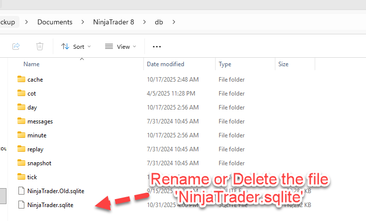 NinjaTrader Database File